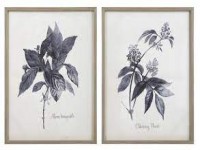 FRAMED BOTANICAL DRAWINGS IN SHADES OF BLUE AND TAN SET OF 2 GALLERY WRAPPED CANVASES